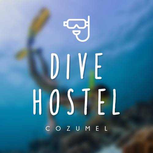 Buvar Dive Hostel and School