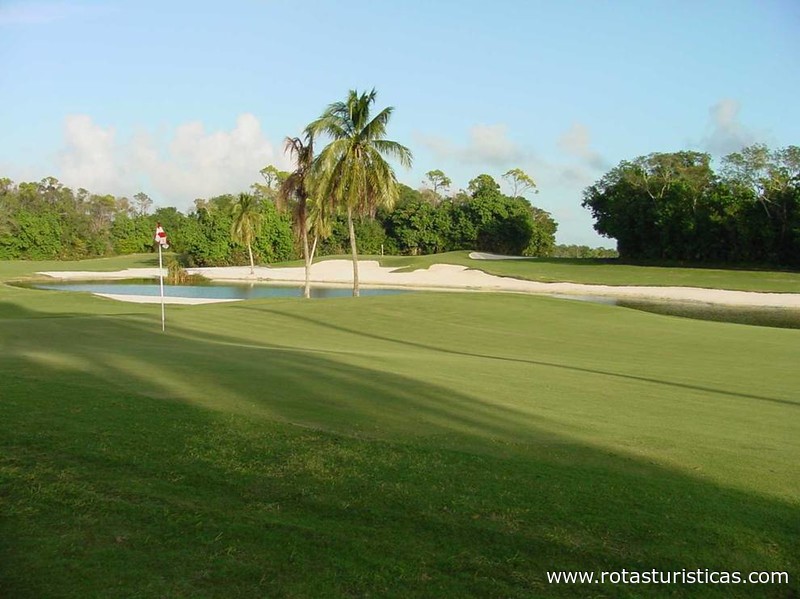 The Royal Oasis Golf Resort