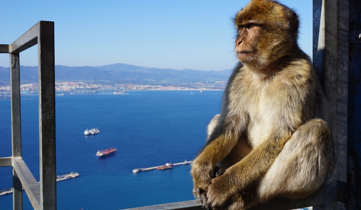 Excursión de 1 día a Gibraltar con salida de Armação de Pera